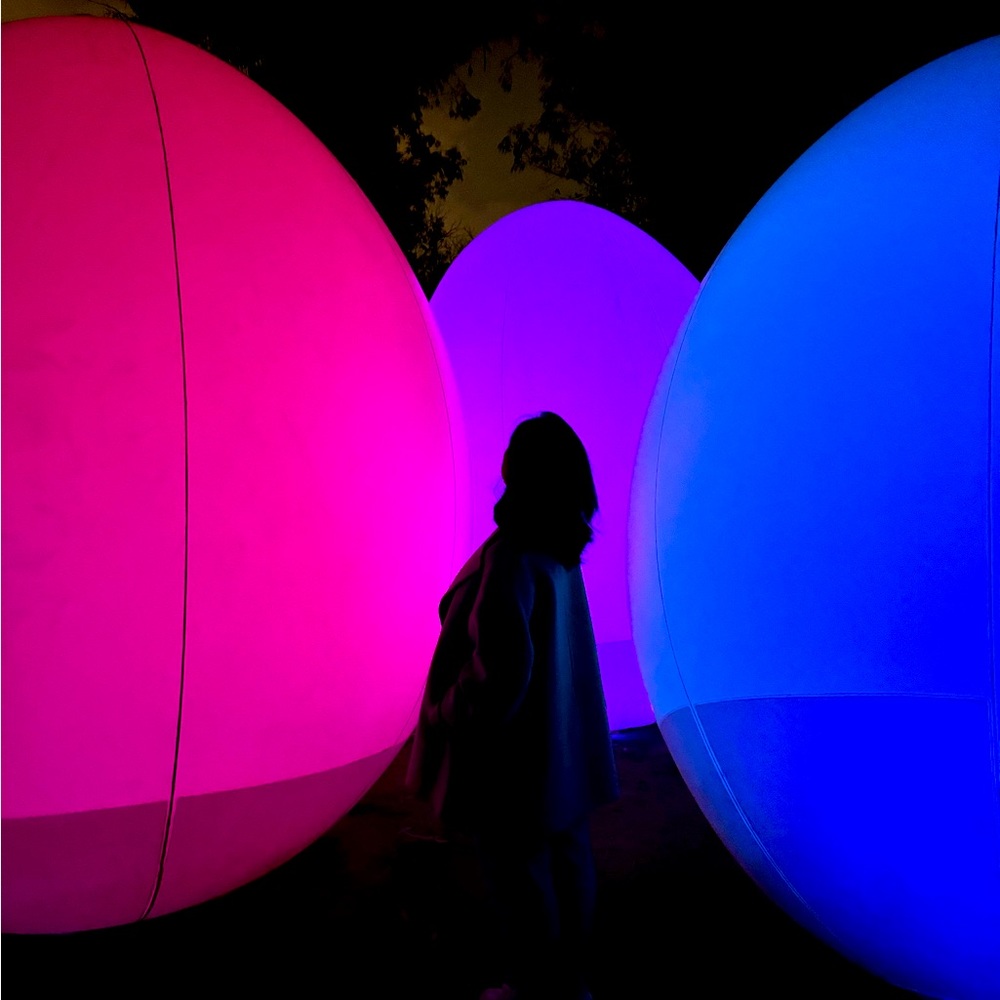 Meet your Posher, Anika